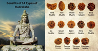 El Poder del Rudraksha: Beneficios Espirituales y Cómo Usarlo Correctamente