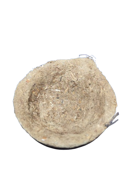 Cow dung Diya