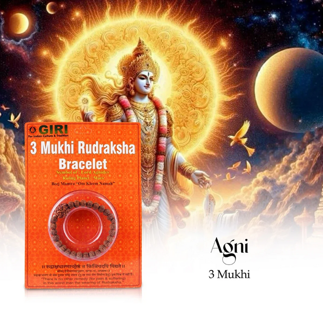 Pulsera de Rudraksha 3 Mukhi de Java – Pulsera de Tres Caras para Hombre y Mujer