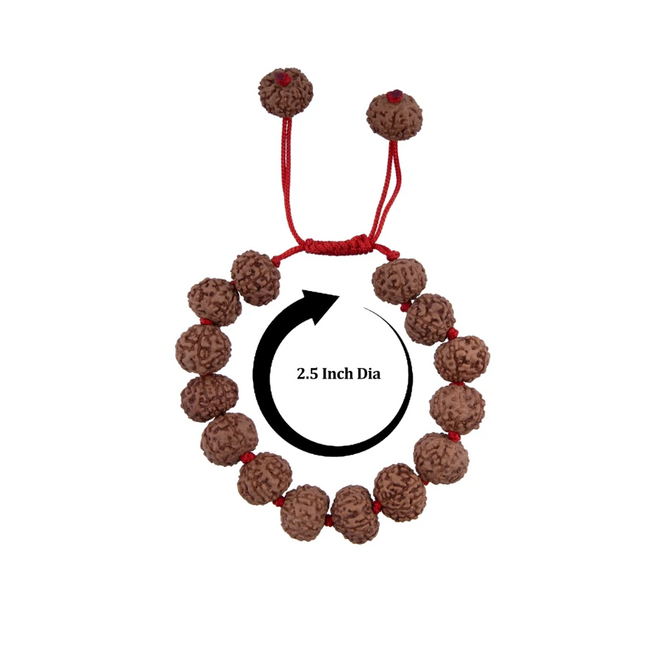 Brazalete Rudraksha 7 Mukhi de 2,5 pulgadas – Pulsera de Rudraksha Ajustable