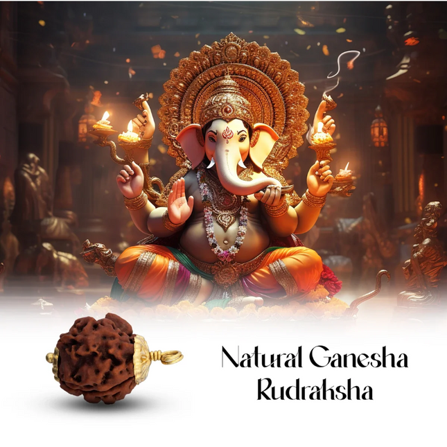 Colgante Ganesh Rudraksha con Copa Dorada – Rudraksha Nepalí