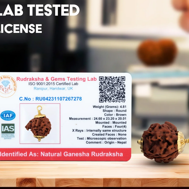 Colgante Ganesh Rudraksha con Copa Dorada – Rudraksha Nepalí