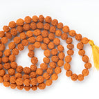 7mm / 5-mukhi / 27